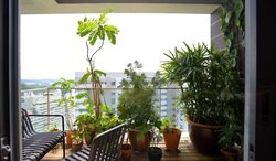 The Trizon (D10), Condominium #460025421